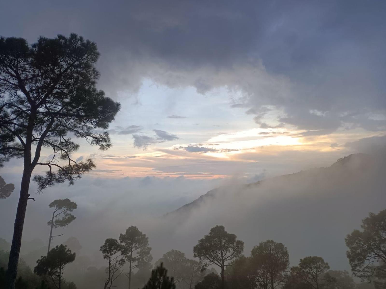 The Western Heights I Serviced Apartments I Pvt Balcony I Lift I Peacefull Area I Family Accomodation I Kasauli I By Exotic Stays Екстериор снимка